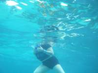 dscf0292_small.jpg