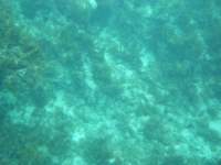 dscf0295_small.jpg
