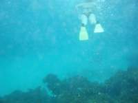 dscf0296_small.jpg