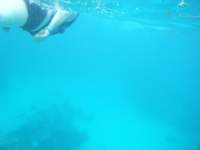 dscf0299_small.jpg