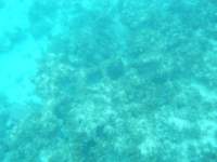 dscf0301_small.jpg
