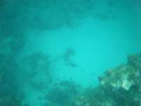 dscf0306_small.jpg