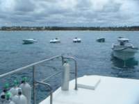 dscf0314_small.jpg