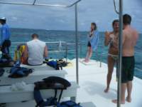 dscf0315_small.jpg