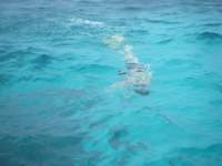 dscf0318_small.jpg