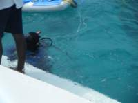dscf0321_small.jpg