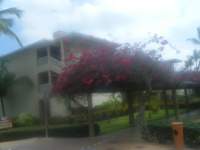 dscf0331_small.jpg