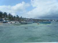 dscf0340_small.jpg