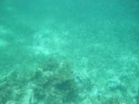 dscf0343_small.jpg