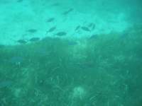 dscf0345_small.jpg