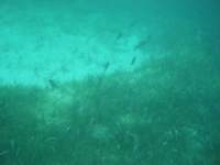 dscf0346_small.jpg
