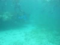 dscf0347_small.jpg