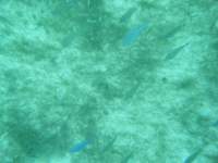 dscf0349_small.jpg