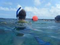 dscf0350_small.jpg
