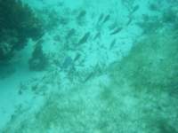 dscf0352_small.jpg