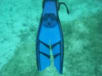 dscf0353_small.jpg