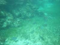 dscf0355_small.jpg