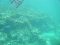 dscf0356_small.jpg