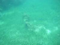 dscf0358_small.jpg
