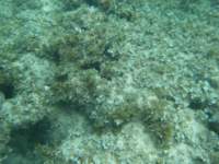 dscf0362_small.jpg