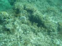 dscf0363_small.jpg