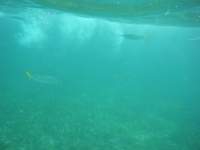 dscf0366_small.jpg