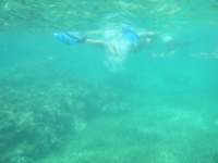 dscf0369_small.jpg