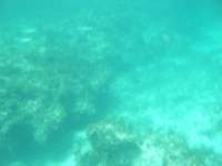 dscf0374_small.jpg