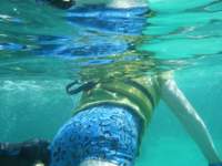 dscf0375_small.jpg