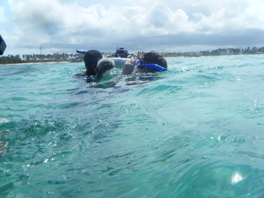 dscf0377.jpg