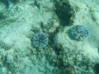 dscf0380_small.jpg