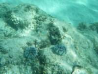 dscf0381_small.jpg