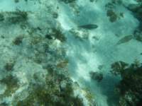 dscf0383_small.jpg