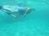 dscf0385_small.jpg
