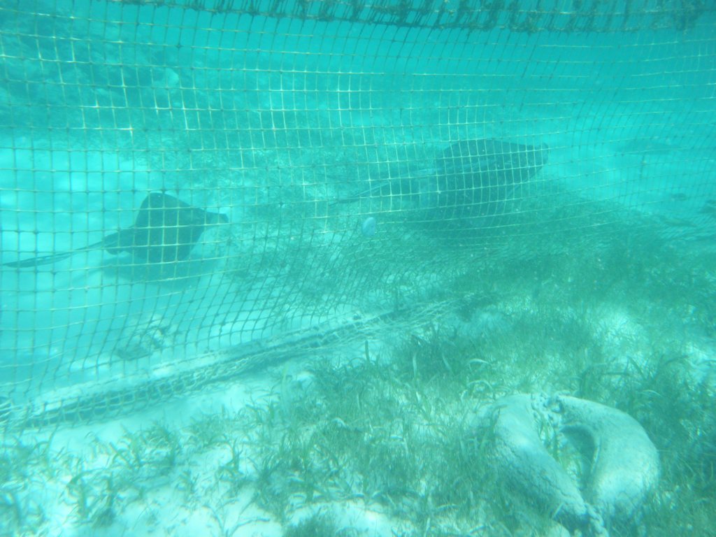 dscf0388.jpg