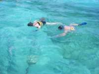 dscf0392_small.jpg