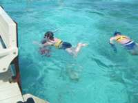 dscf0393_small.jpg