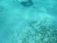 dscf0394_small.jpg
