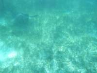 dscf0395_small.jpg