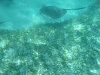 dscf0396_small.jpg