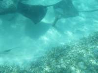 dscf0397_small.jpg