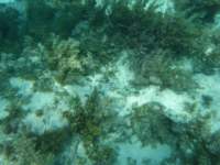 dscf0400_small.jpg