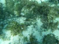dscf0401_small.jpg