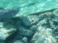 dscf0411_small.jpg