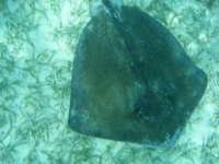 dscf0412_small.jpg