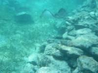 dscf0413_small.jpg