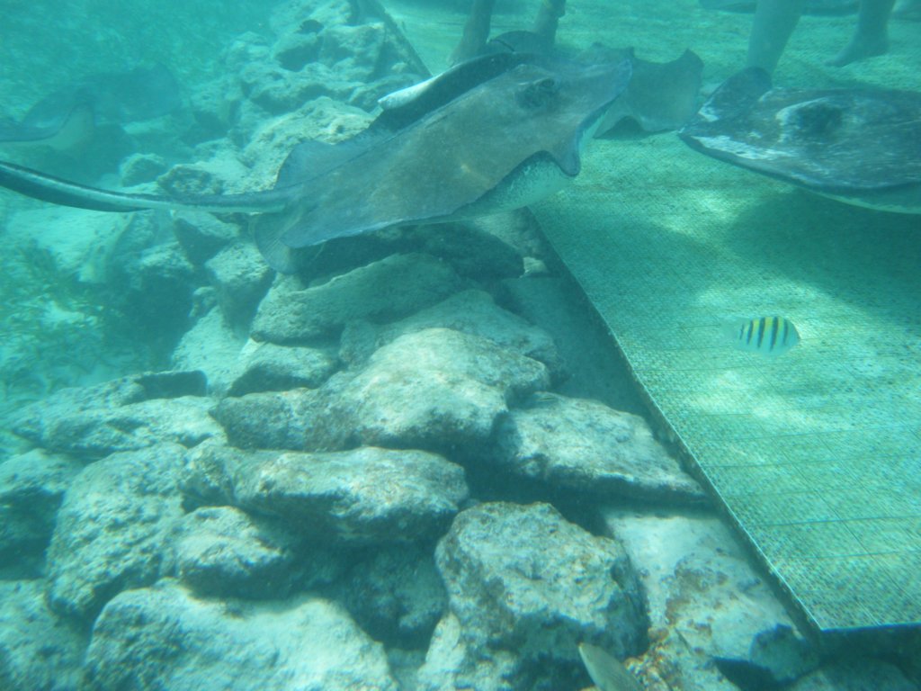 dscf0414.jpg