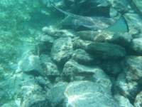 dscf0415_small.jpg