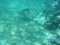 dscf0416_small.jpg