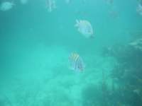 dscf0417_small.jpg